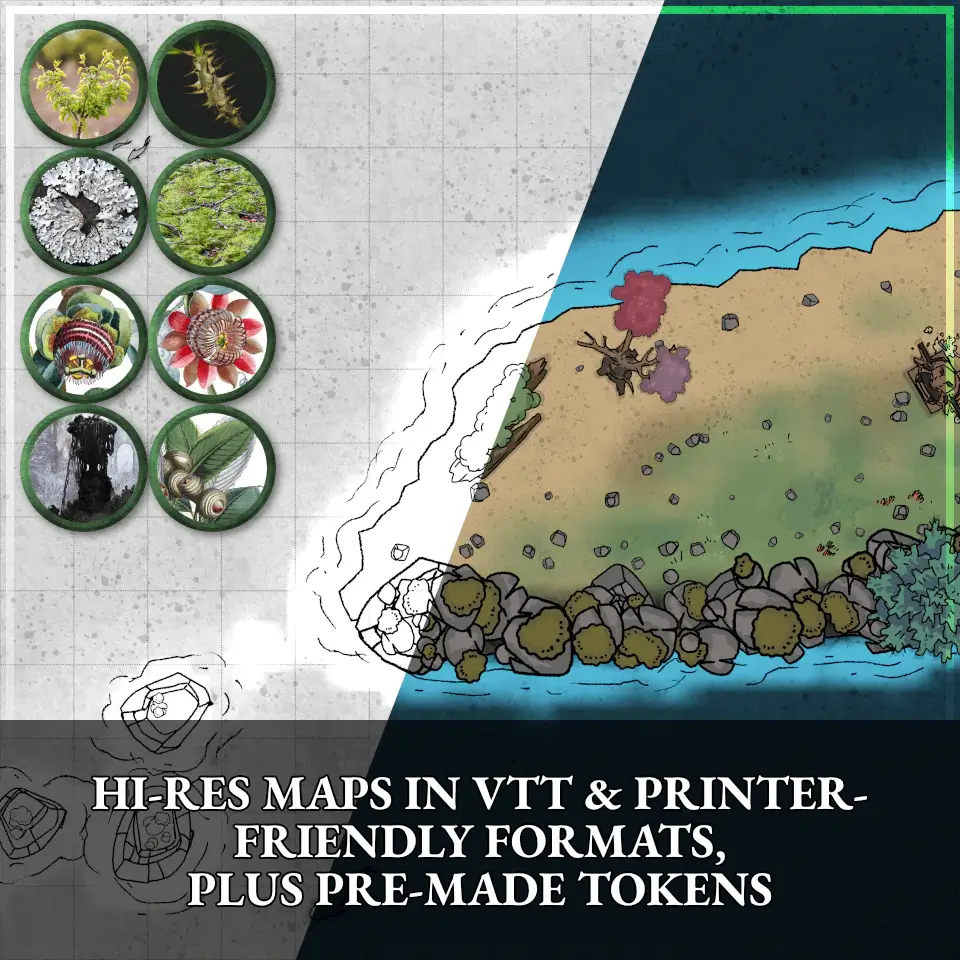Hi-res maps in VTT & printer-friendly formats, plus pre-made tokens