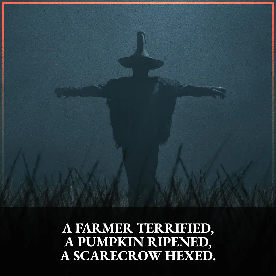 A farmer terrified, a pumpkin ripened, a scarecrow hexed.